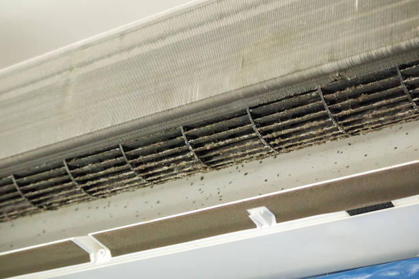 Best Air Duct Cleaning Near Me  in Hart, MI
