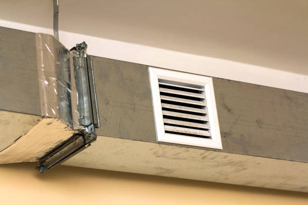 Best Affordable Duct Cleaning Services  in Hart, MI